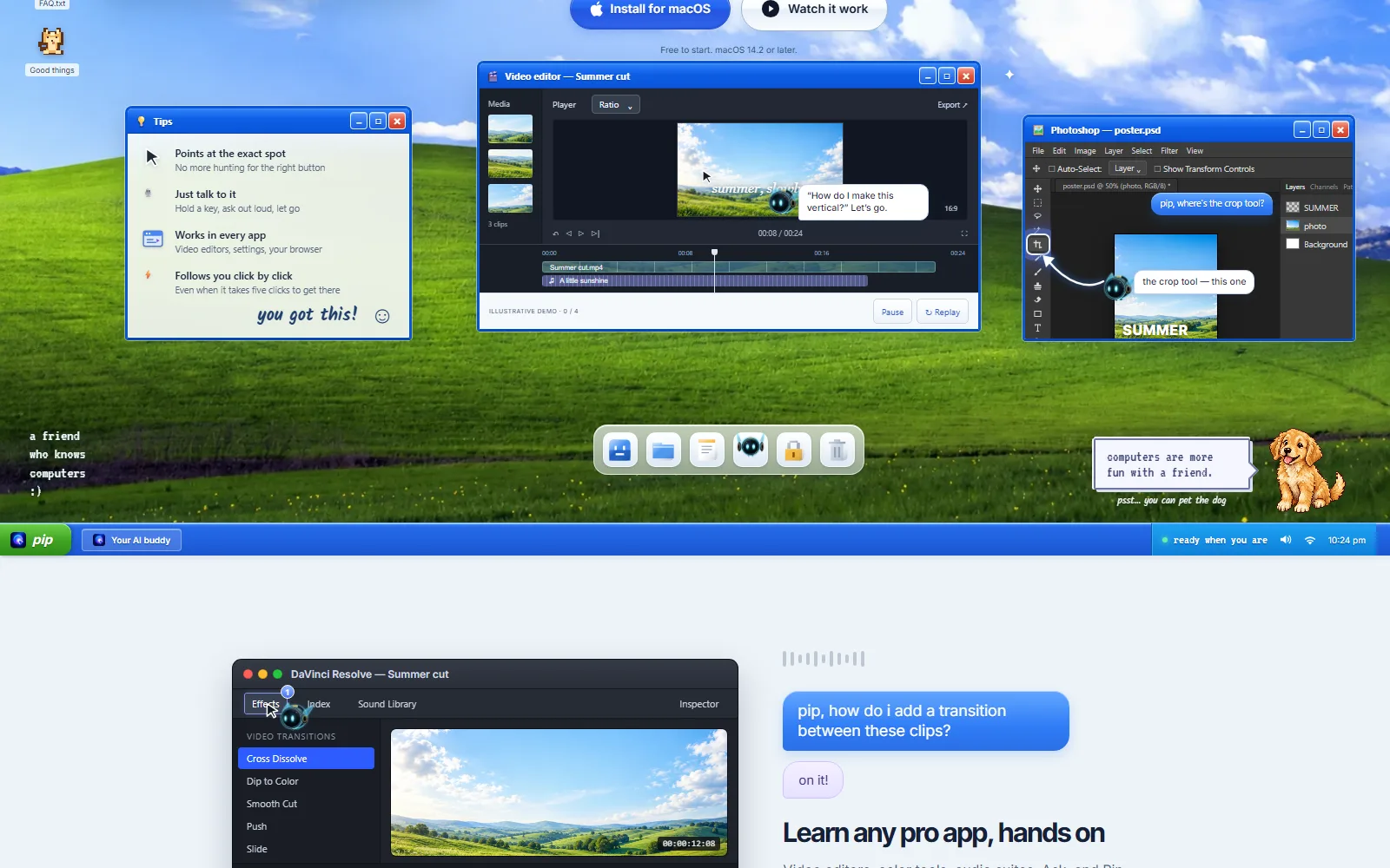 Pip examples page