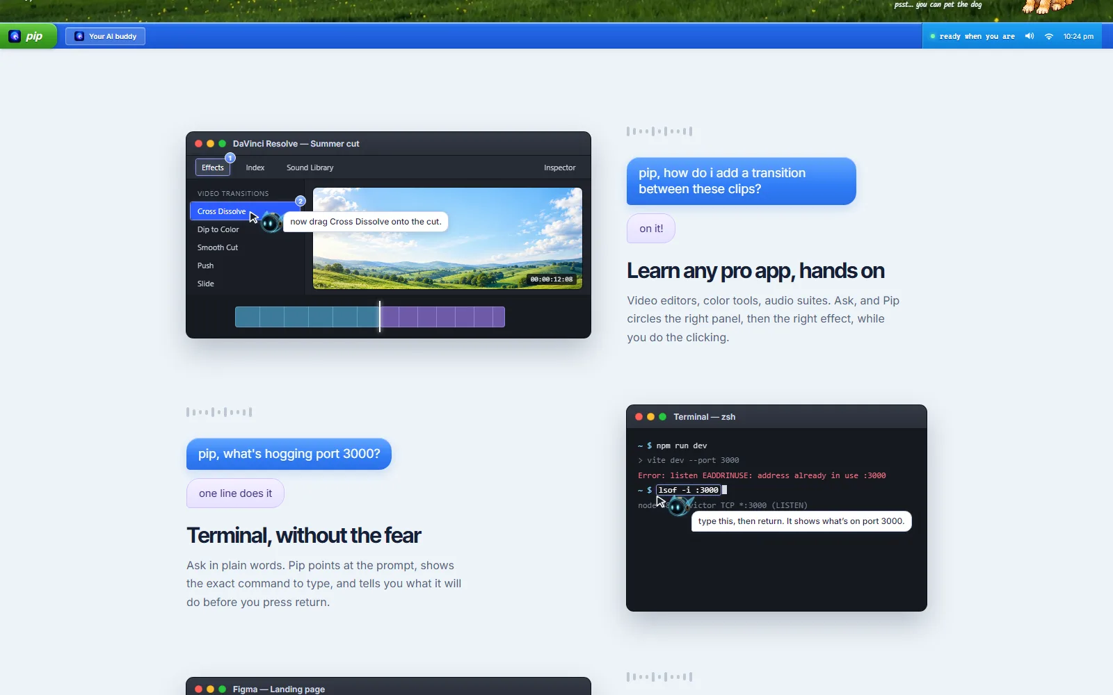 Pip features page