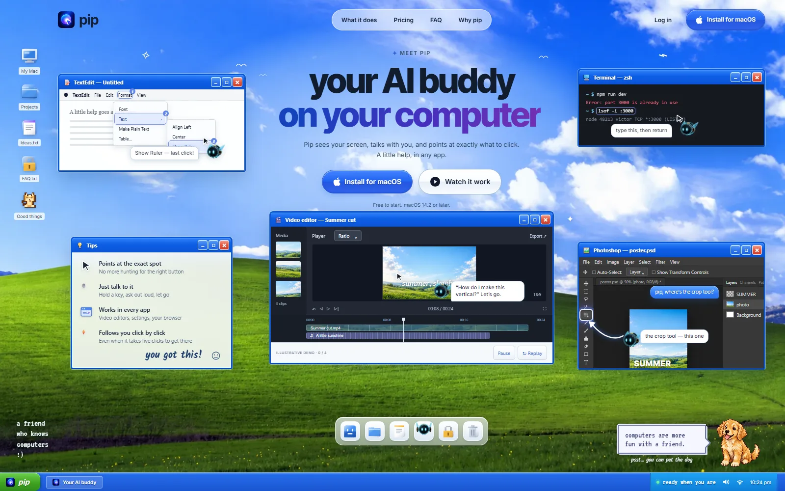 Pip homepage